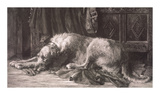 Irish Wolfhounds