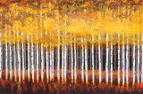 Golden Aspens