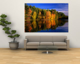 Autumn Trees in New Hampshire  New Hampshire  USA