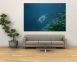 A Large Tropical Turtle Swims Underwater Near a Coral Reef