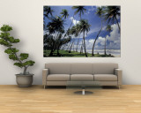 View of Manzanilla Bay  Port of Spain  Trinidad  Caribbean