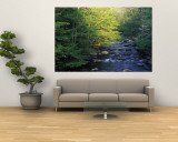 Elkmount Area  Great Smoky Mountains National Park  Tennessee  USA