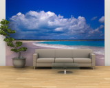 Pink Sand Beach  Harbour Island  Bahamas