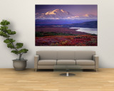 Denali National Park near Wonder Lake  Alaska  USA