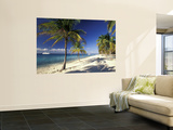 Tropical Beach on Isla de la Juventud  Cuba
