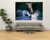 Grizzly Bear Running in Kinak Bay  Katmai National Park  USA