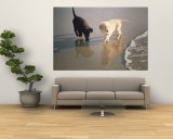 Two Retriever Pups Walk in the Surf at a Beach