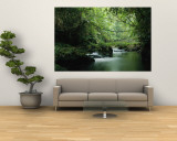 A Woodland Stream Winding Through a Burmese Jungle