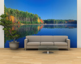 White Pines and Hardwoods  Meadow Lake  New Hampshire  USA