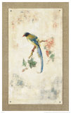Blue Magpie