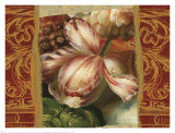 Classic Dutch Tulip