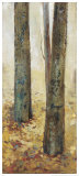 Tranquil Forest II