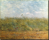 Wheat Field with a Lark