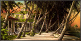 Island House