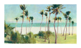 Miami Beach