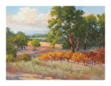 Wine Province II