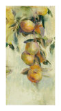 Golden Fruit Study I