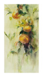 Golden Fruit Study III