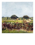 Haybail