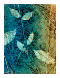 Natural Selection II