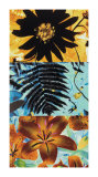 Petals and Leaves II