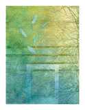 Aqueous IV