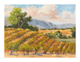 Wine Province I