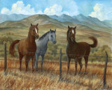 Appaloosa I