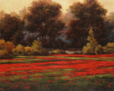 Poppy Meadows II