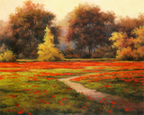 Poppy Meadows I