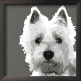 West Highland Terrier