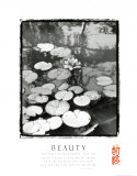 Beauty: Lilypads