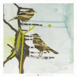 Chit  Chat  Chirp
