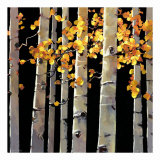 Aspen Grove