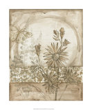 Twilight Meadow II