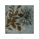 Dusty Rosettes I