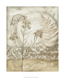 Twilight Meadow IV