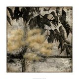 Nature's Breath II