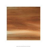 Coastal Vista III