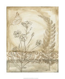 Twilight Meadow III