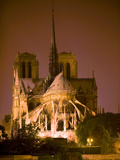Notre Dame Cathedral Lit at Night  Paris  France