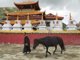 Tibetan Man with Horse in Tagong Monastery  Sichuan  China