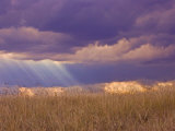 Sun Rays in the Afternoon Storm Clouds  Maasai Mara  Kenya