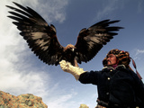Takhuu Raising His Eagle  Golden Eagle Festival  Mongolia