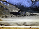 Yurts of One of the Eagle Hunters Grandfathers  Golden Eagle Festival  Mongolia