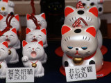 Display of Lucky Cats  Japanese Cultural Icon for Good Fortune  Akasaka  Tokyo  Japan