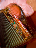 Musician Playing Accordion for Turkish Dancers  Turkey