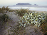 Tabletop Mountain  Table Bay  Capetown  South Africa