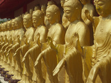 Standing Gold-Colored Buddha Statues at a Buddhist Shrine  Foukuangshan Temple  Taiwan