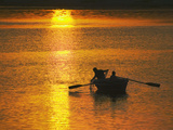 Rowing Boat on Ganges River at Sunset  Varanasi  India